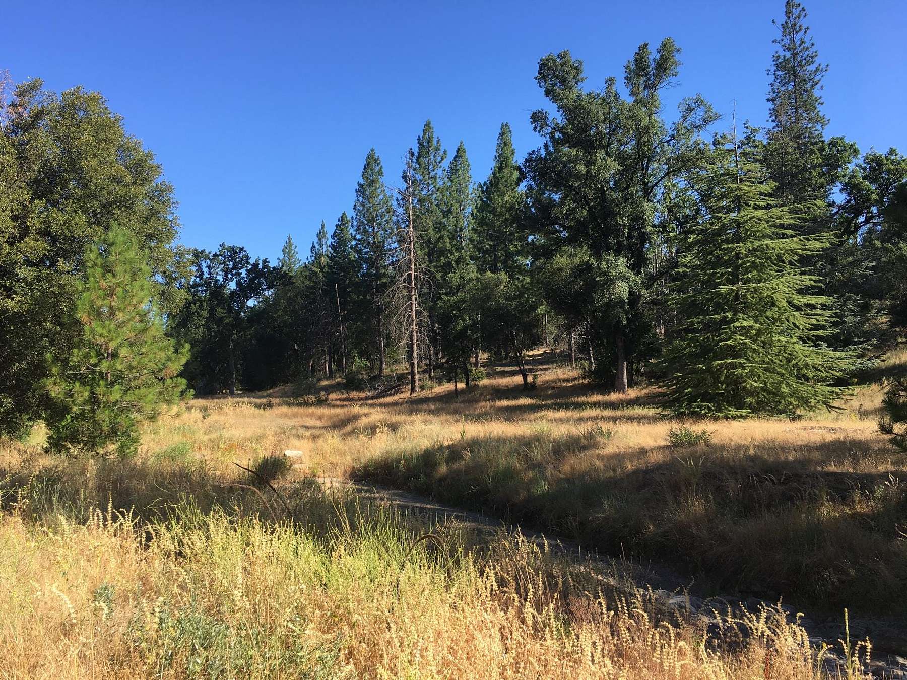 144 Acres of Recreational Land & Farm for Sale in Groveland, California
