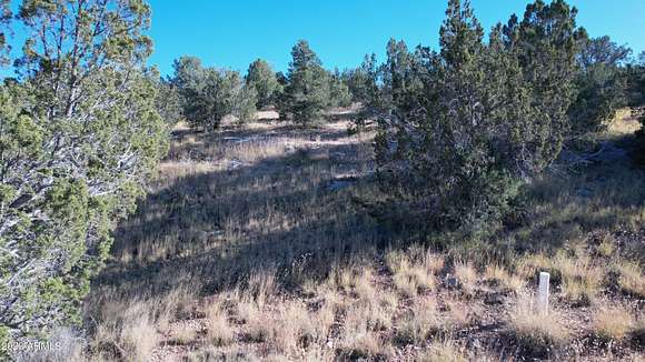 1.3 Acres of Residential Land for Sale in Seligman, Arizona