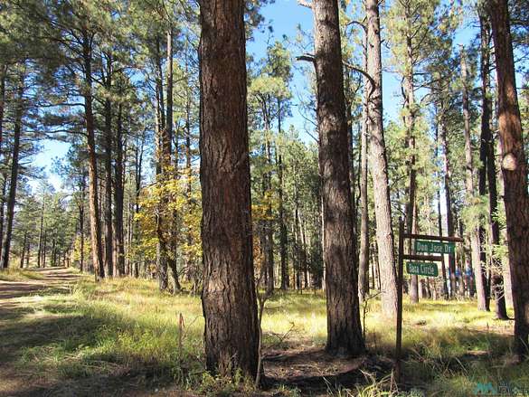 2.7 Acres of Residential Land for Sale in Rociada, New Mexico