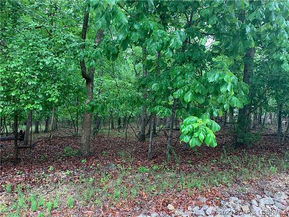 0.25 Acres of Residential Land for Sale in Village of Four Seasons, Missouri