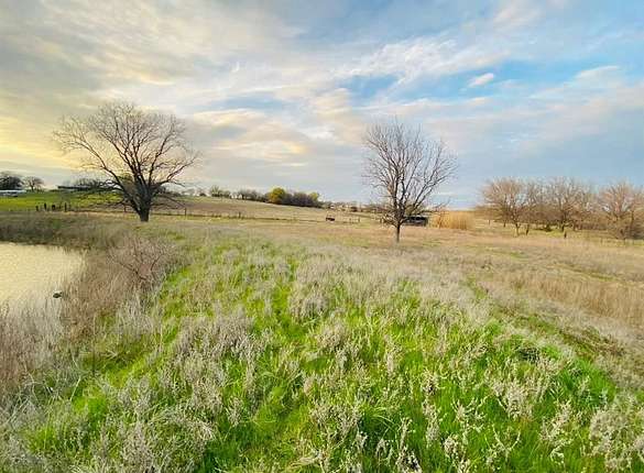 17.6 Acres of Agricultural Land for Sale in Covington, Texas
