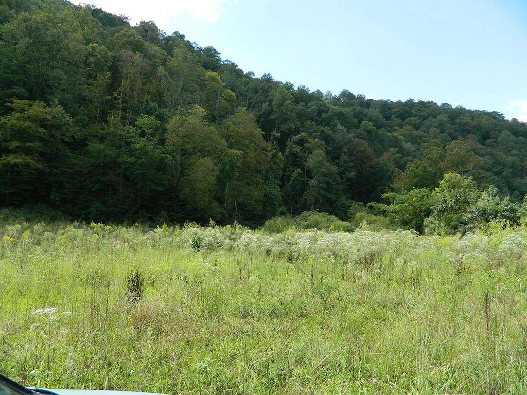 61.7 Acres of Land for Sale in Kimper, Kentucky