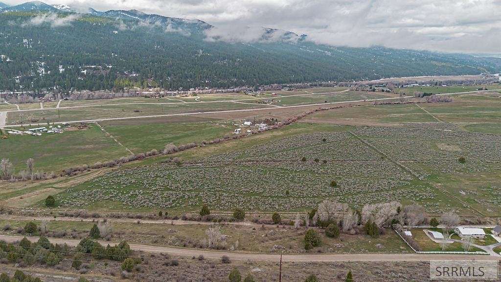 31 Acres of Land for Sale in Swan Valley, Idaho
