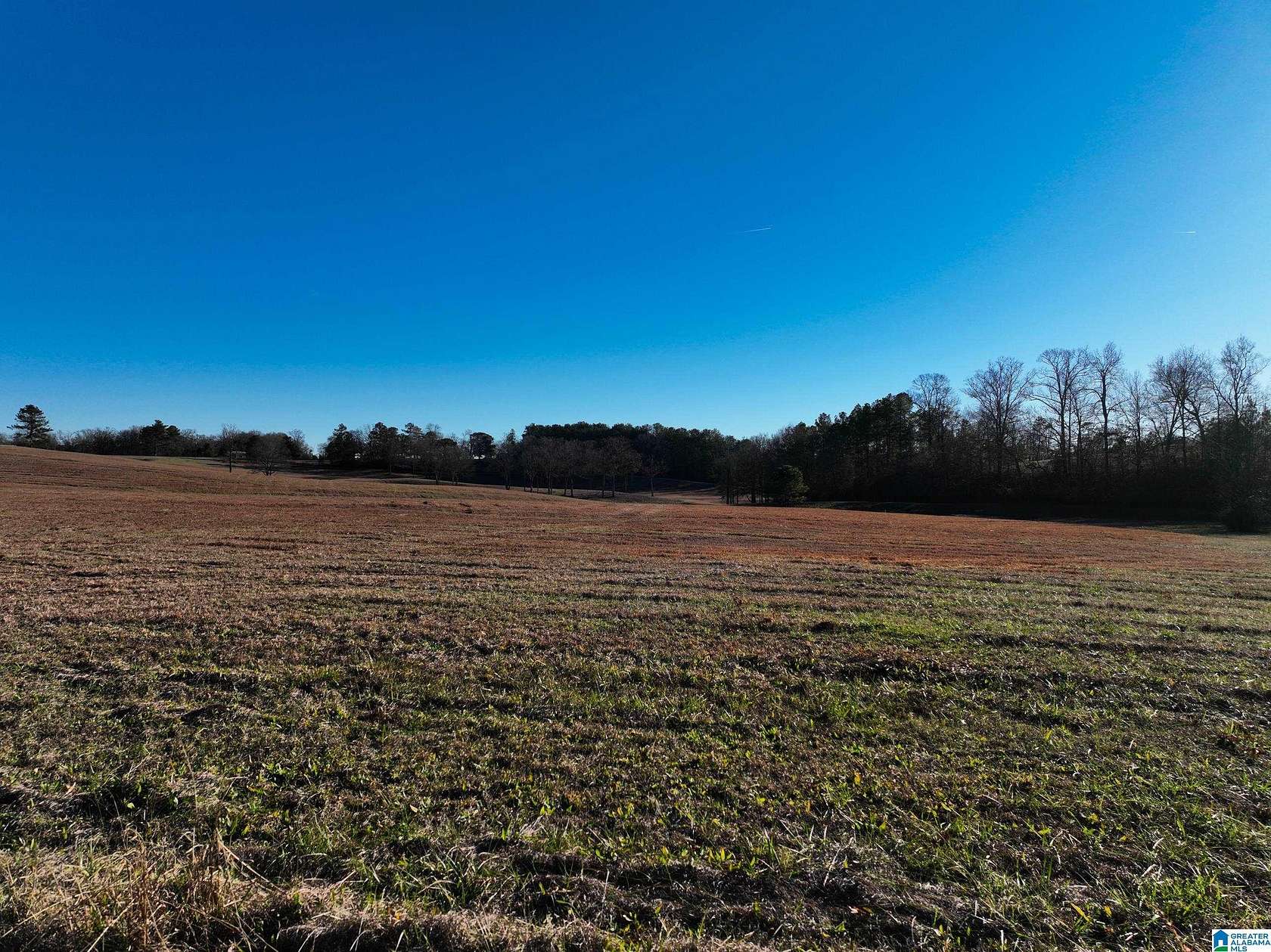0.38 Acres of Land for Sale in Thorsby, Alabama