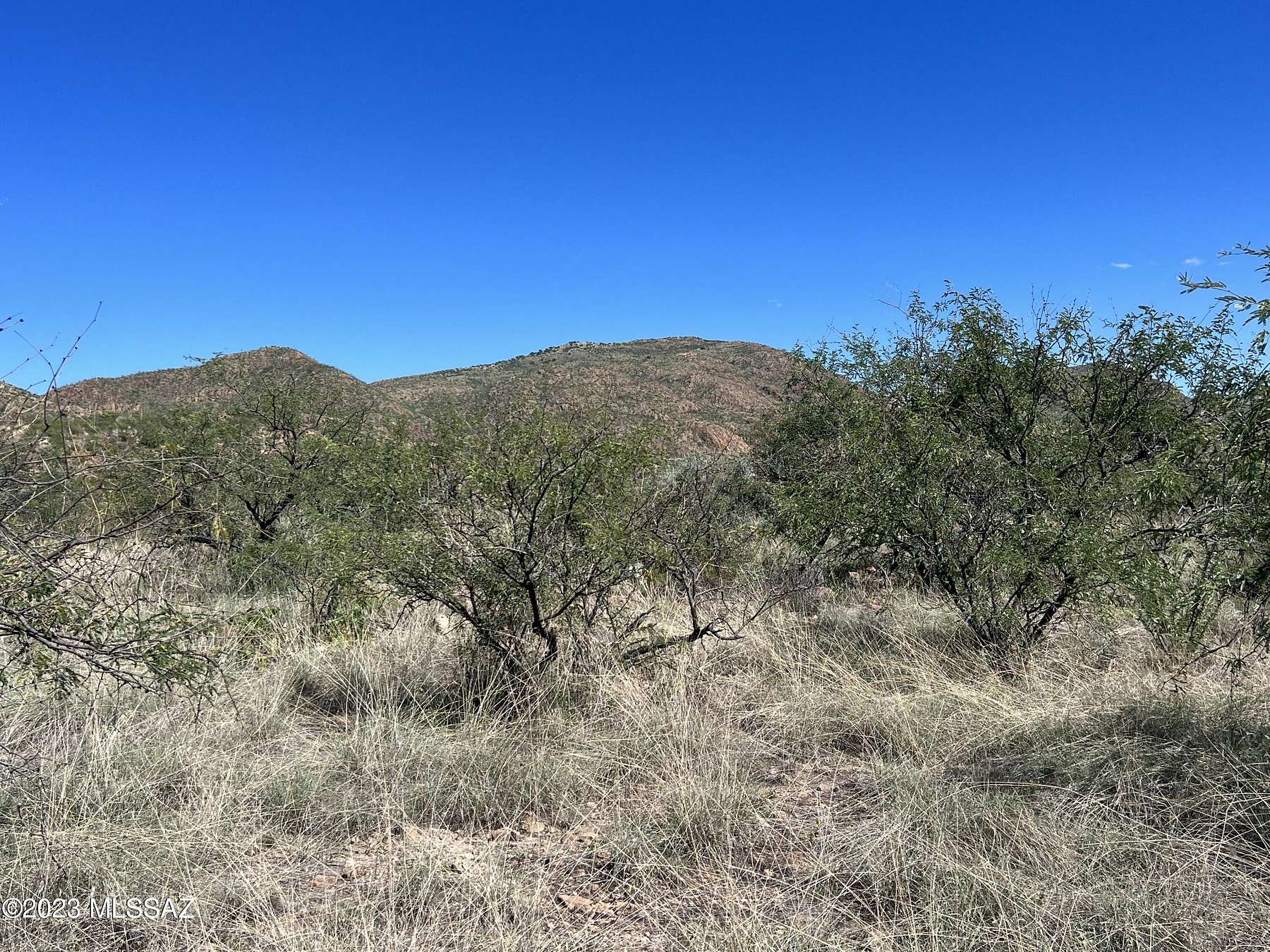 36.1 Acres of Agricultural Land for Sale in Tubac, Arizona