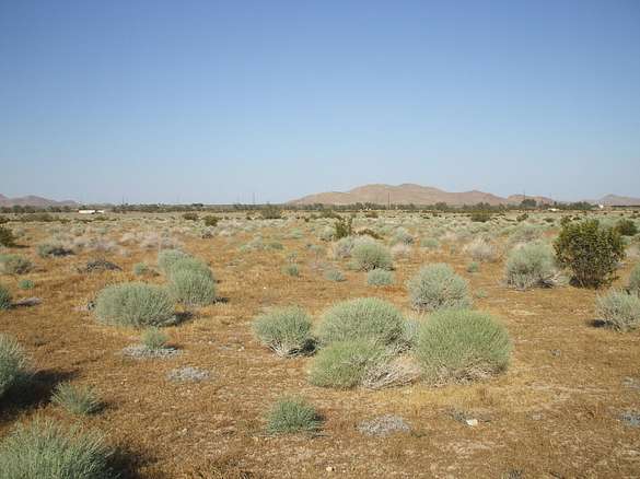 Residential Land for Sale in Rosamond, California