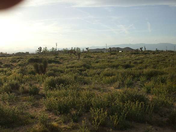Residential Land for Sale in Mojave, California