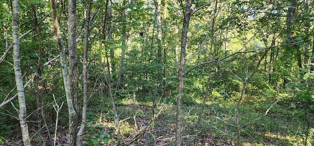 0.57 Acres of Residential Land for Sale in Holladay, Tennessee