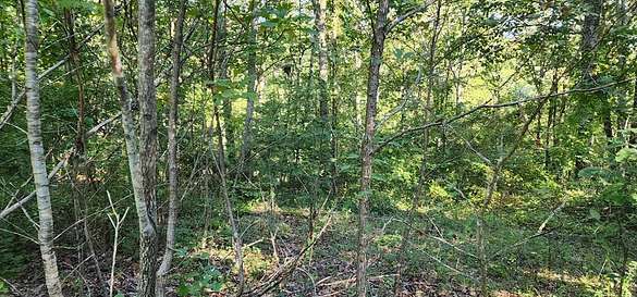 0.57 Acres of Residential Land for Sale in Holladay, Tennessee