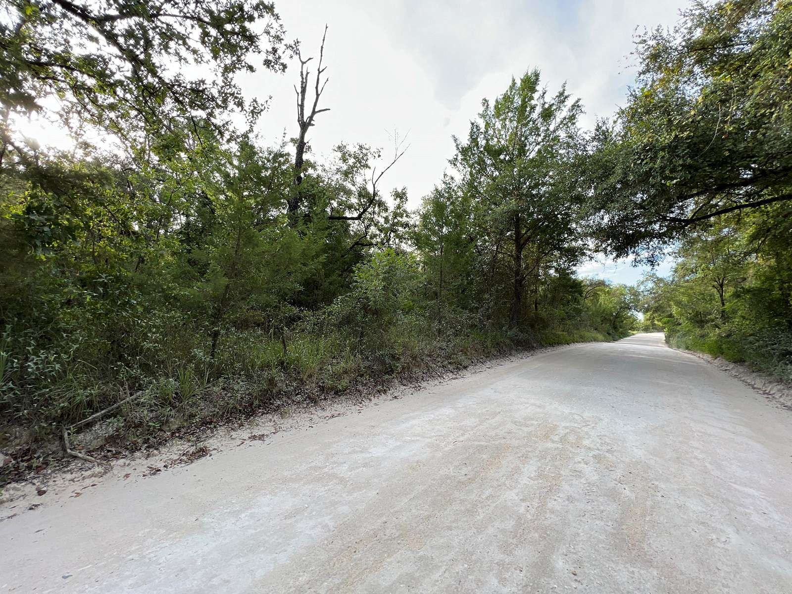 10 Acres of Recreational Land & Farm for Sale in Bell, Florida