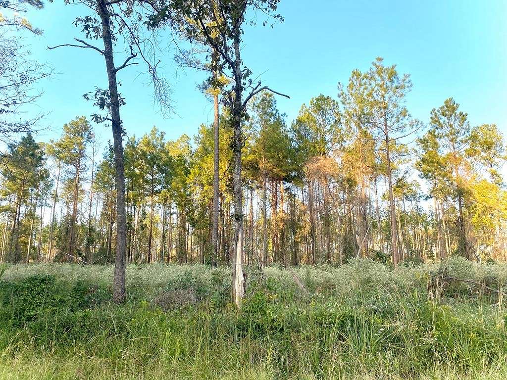 3.6 Acres of Residential Land for Sale in Huntington, Texas