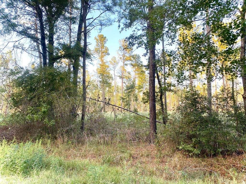 3.7 Acres of Residential Land for Sale in Huntington, Texas