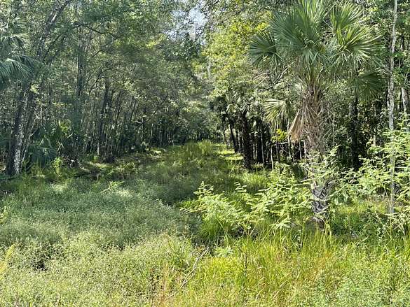 10 Acres of Recreational Land for Sale in Inglis, Florida