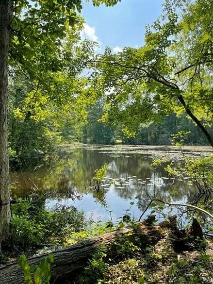 4.8 Acres of Recreational Land for Sale in Timmonsville, South Carolina