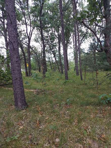 0.52 Acres of Residential Land for Sale in Adams, Wisconsin