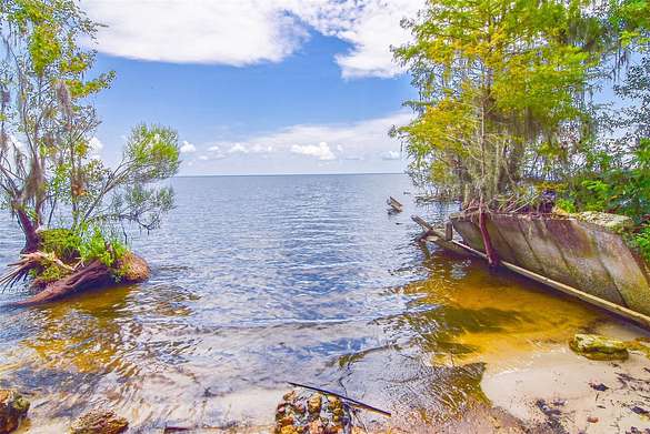 3.65 Acres of Residential Land with Home for Sale in Salt Springs, Florida