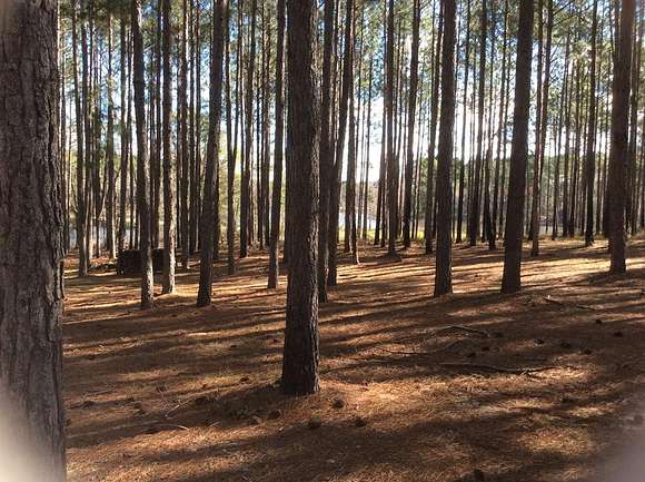 1 Acre of Residential Land for Sale in Arabi, Georgia