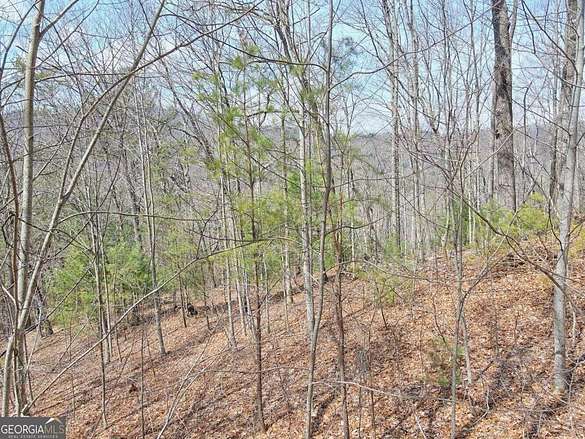 2.4 Acres of Residential Land for Sale in Hiawassee, Georgia