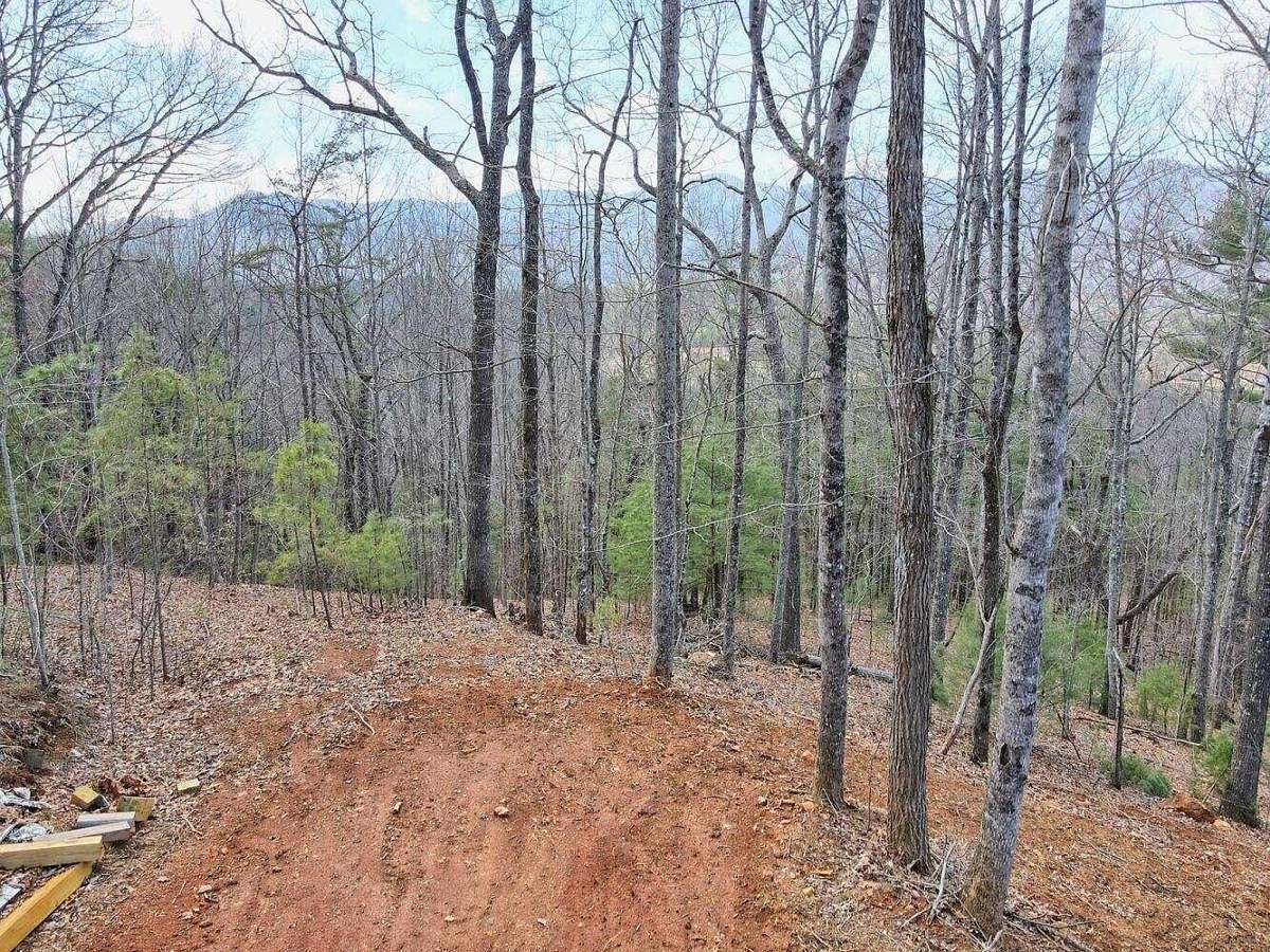 1.1 Acres of Residential Land for Sale in Hiawassee, Georgia