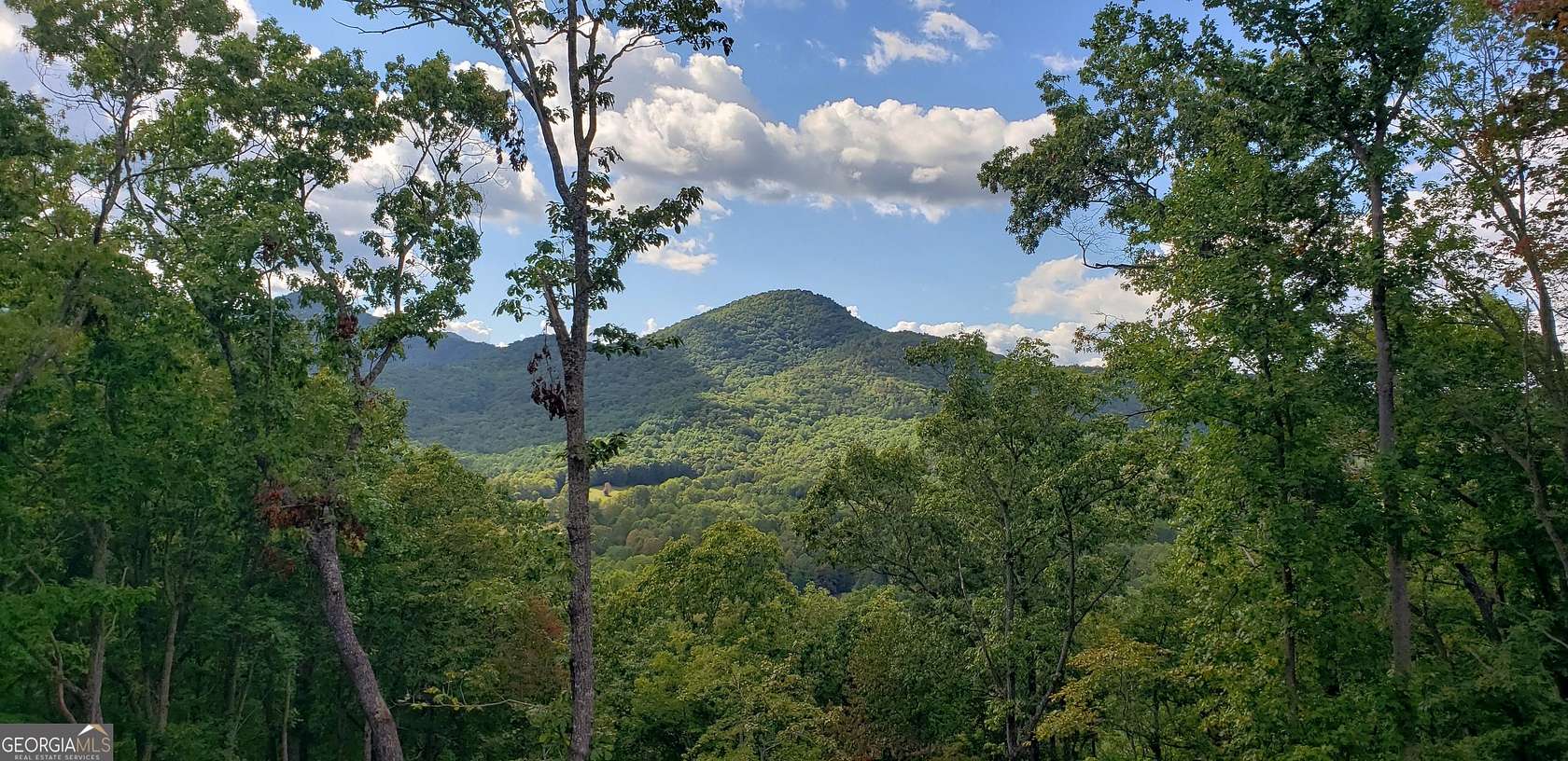 1.06 Acres of Residential Land for Sale in Hiawassee, Georgia