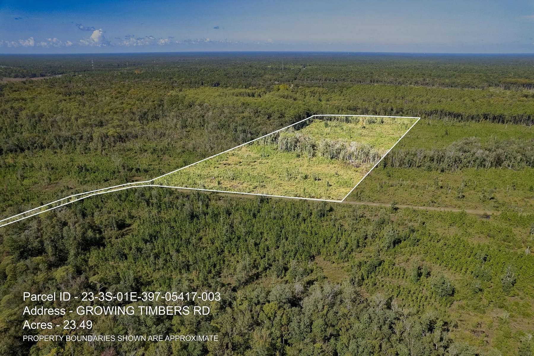 23.5 Acres of Recreational Land for Sale in Crawfordville, Florida