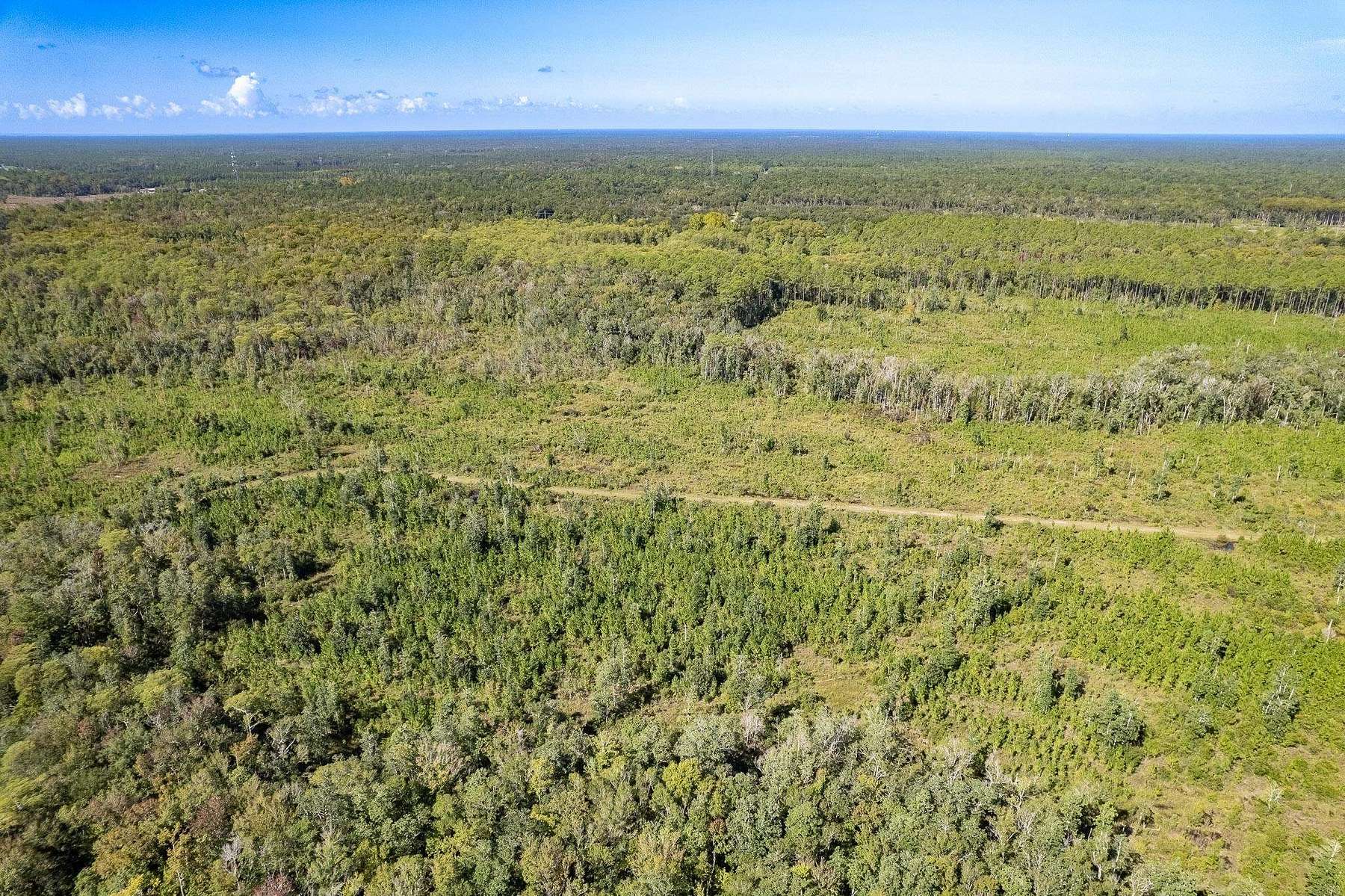 23.49 Acres of Recreational Land for Sale in Crawfordville, Florida