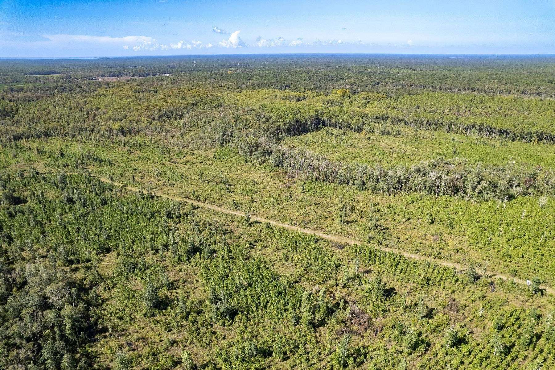 23.49 Acres of Recreational Land for Sale in Crawfordville, Florida