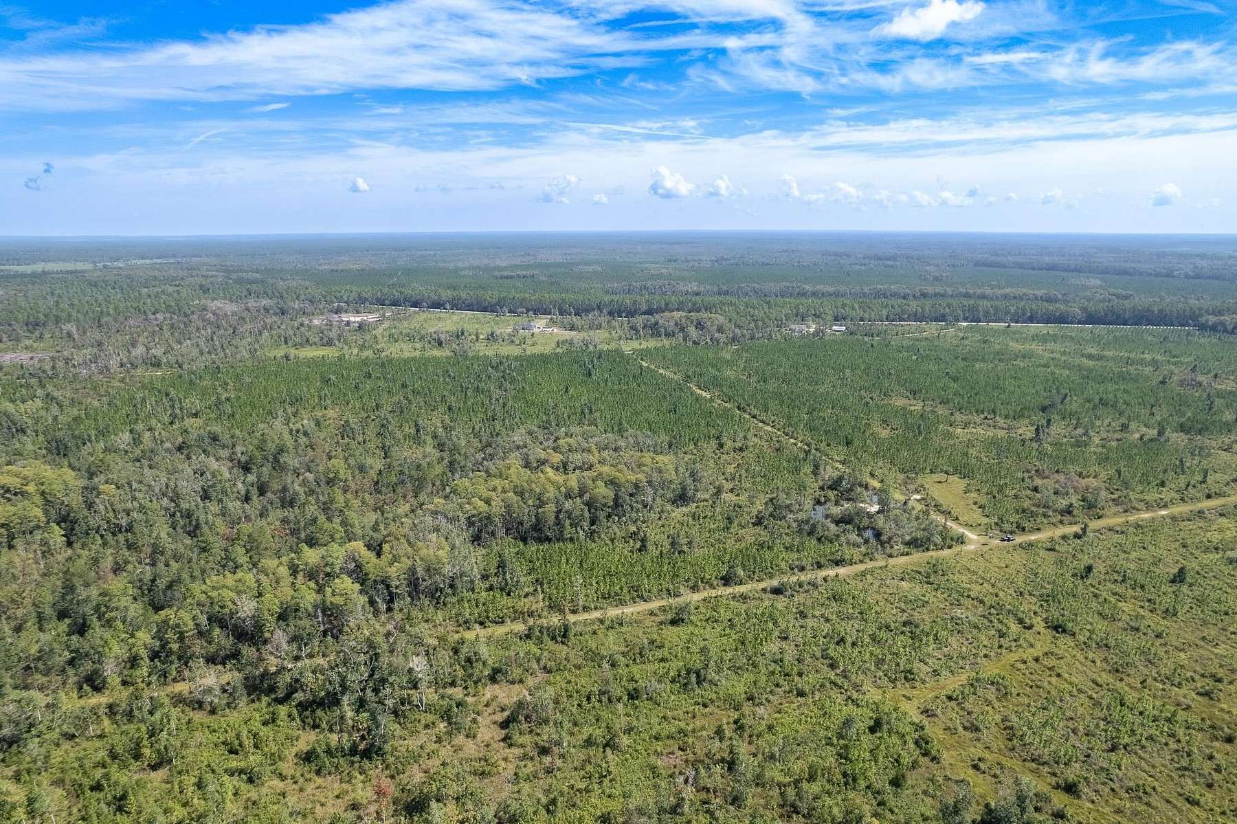 33.3 Acres of Recreational Land for Sale in Crawfordville, Florida
