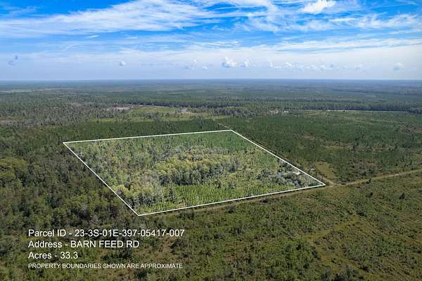 33.3 Acres of Recreational Land for Sale in Crawfordville, Florida