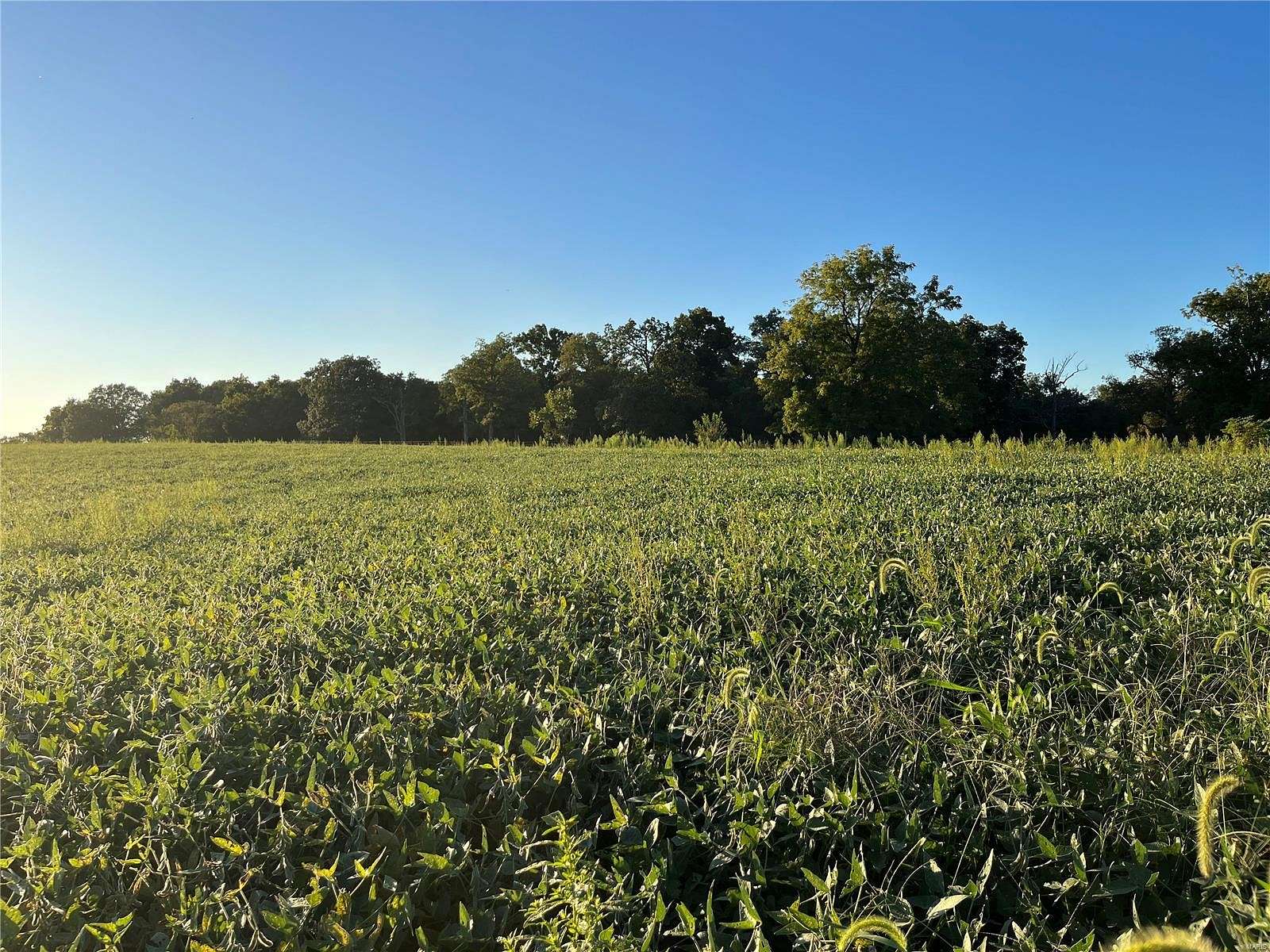 20 Acres of Land for Sale in Old Monroe, Missouri