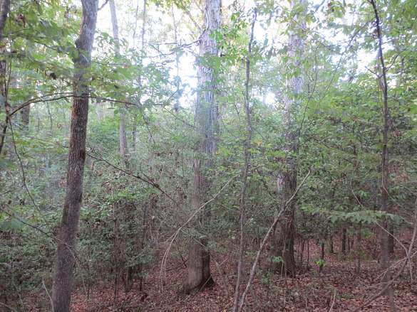 20.4 Acres of Recreational Land for Sale in Monticello, Mississippi