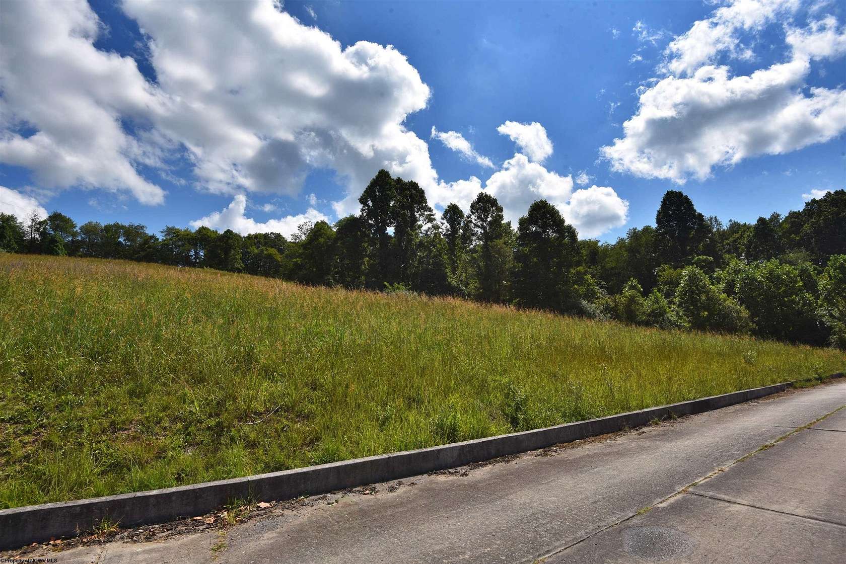 0.33 Acres of Residential Land for Sale in Grafton, West Virginia