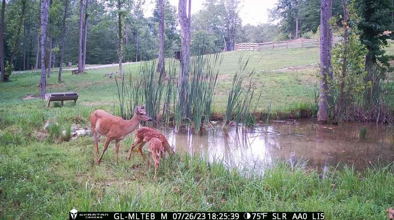 4.57 Acres of Residential Land for Sale in Somerset, Kentucky