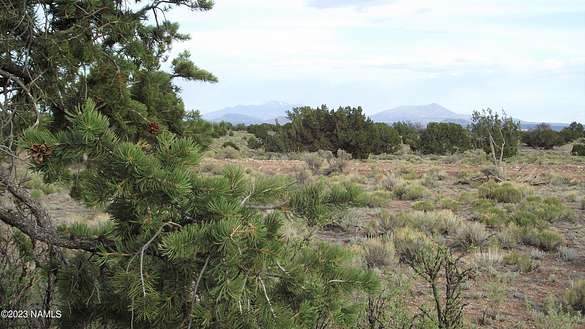 36 Acres of Agricultural Land for Sale in Williams, Arizona