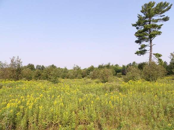 60 Acres of Agricultural Land for Sale in Catawba, Wisconsin