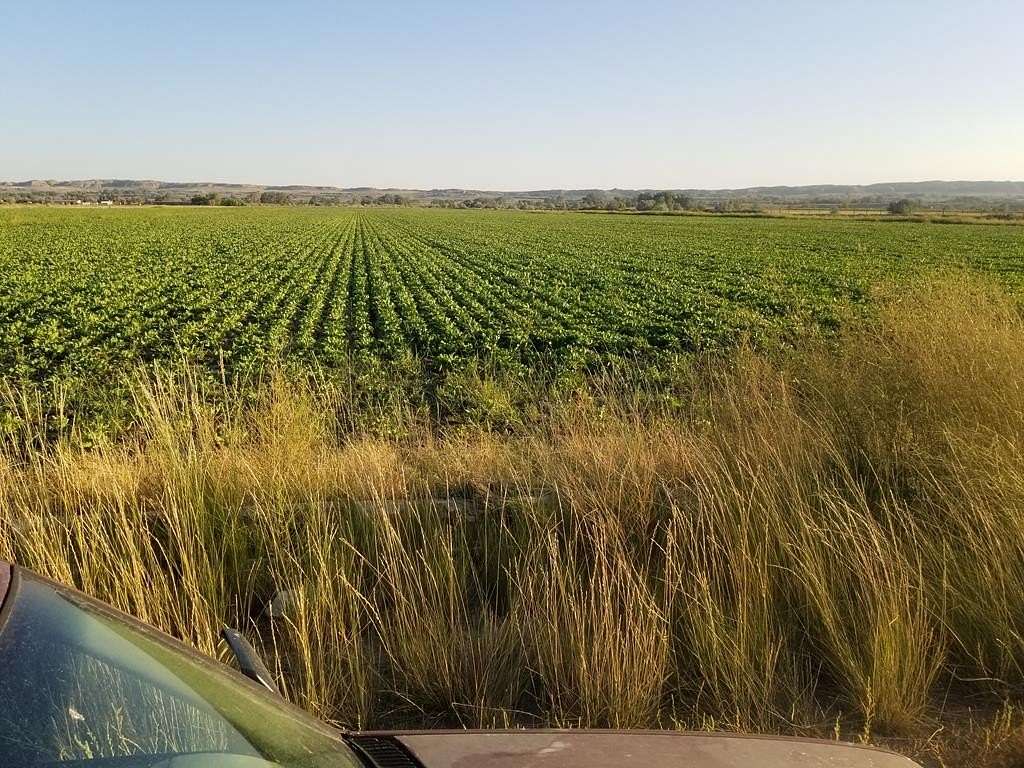 239 Acres of Agricultural Land for Sale in Deaver, Wyoming