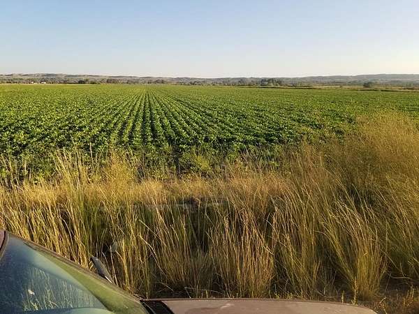 239 Acres of Agricultural Land for Sale in Deaver, Wyoming