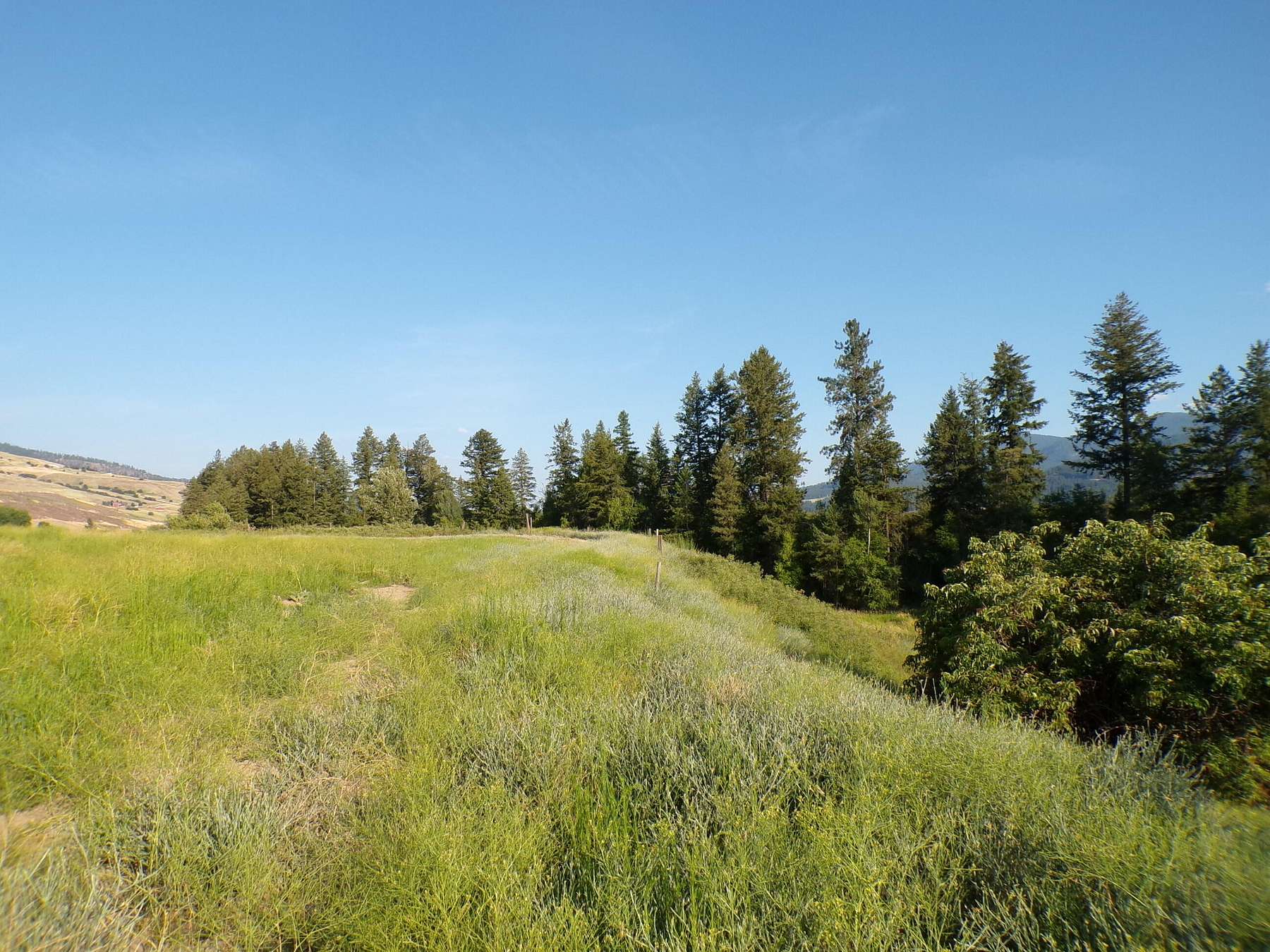 8 Acres of Residential Land for Sale in Kettle Falls, Washington