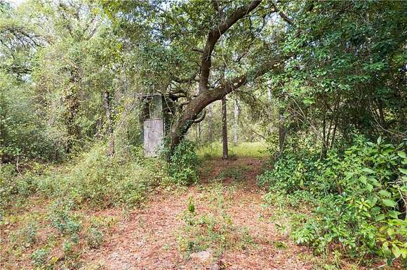 10 Acres of Recreational Land for Sale in Robertsdale, Alabama