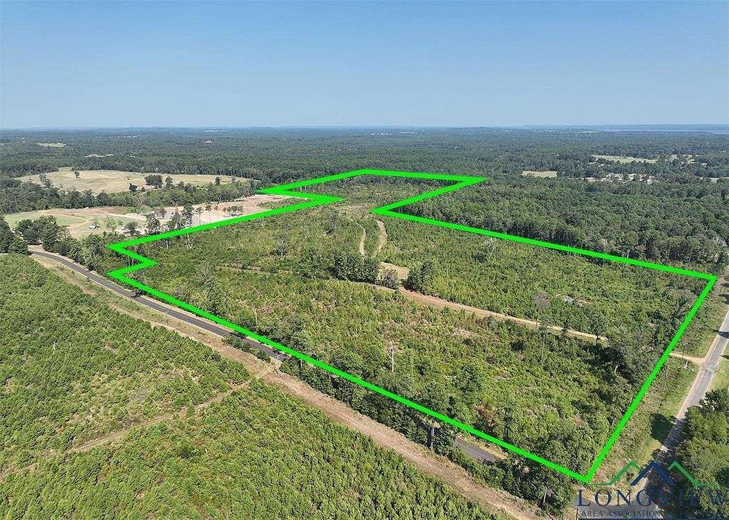79.9 Acres of Recreational Land for Sale in Harleton, Texas