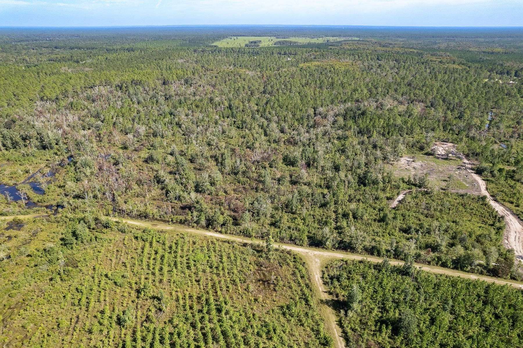 30.4 Acres of Recreational Land for Sale in Crawfordville, Florida