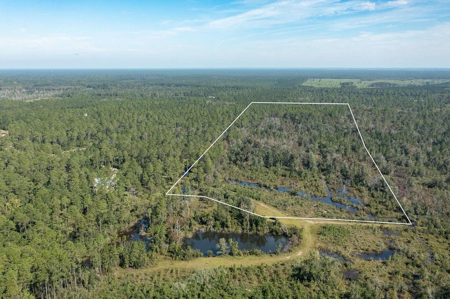 41.5 Acres of Recreational Land for Sale in Crawfordville, Florida