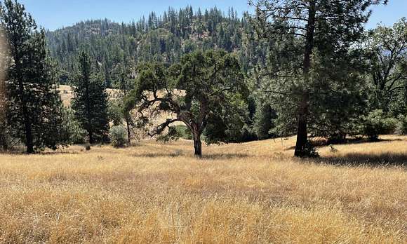 80 Acres of Recreational Land for Sale in Twain Harte, California