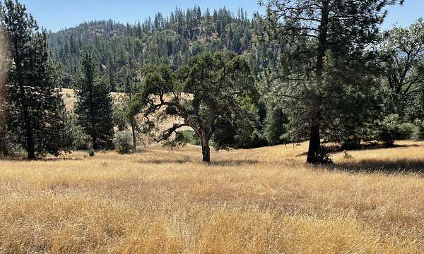 80 Acres of Recreational & Residential Land for Sale in Twain Harte, California