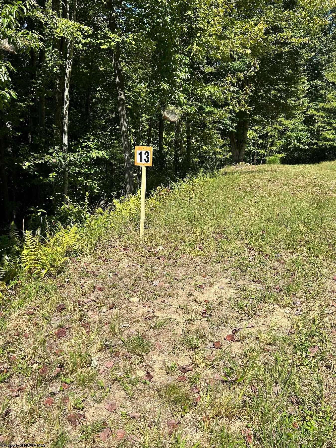 4.4 Acres of Residential Land for Sale in Buckhannon, West Virginia