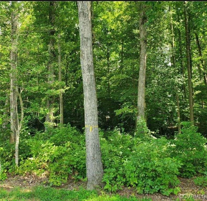 3.2 Acres of Residential Land for Sale in Chesterfield Village, Virginia