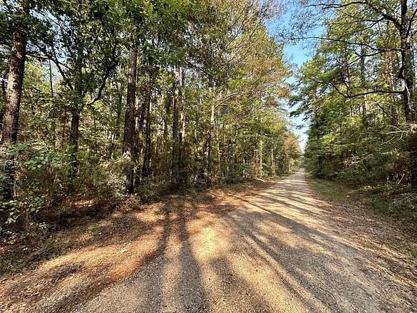 34.1 Acres of Land for Sale in Greensburg, Louisiana