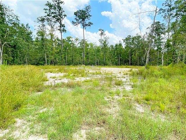 1 Acre of Residential Land for Sale in Slidell, Louisiana