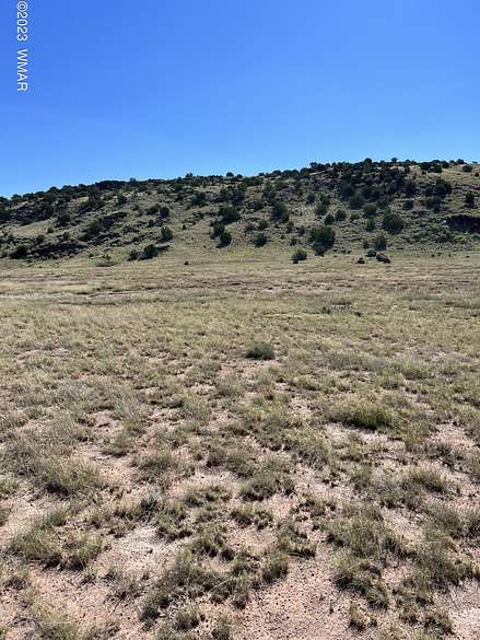 36.3 Acres of Recreational Land for Sale in St. Johns, Arizona