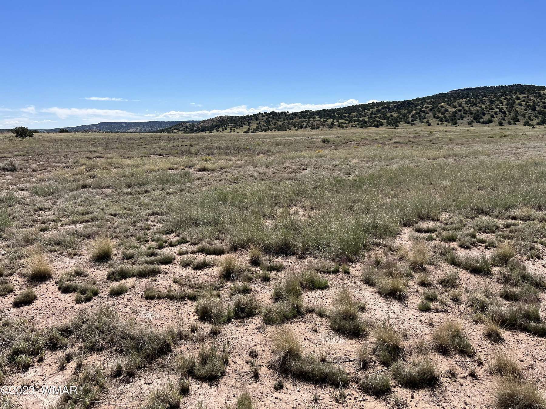 38.8 Acres of Recreational Land for Sale in St. Johns, Arizona